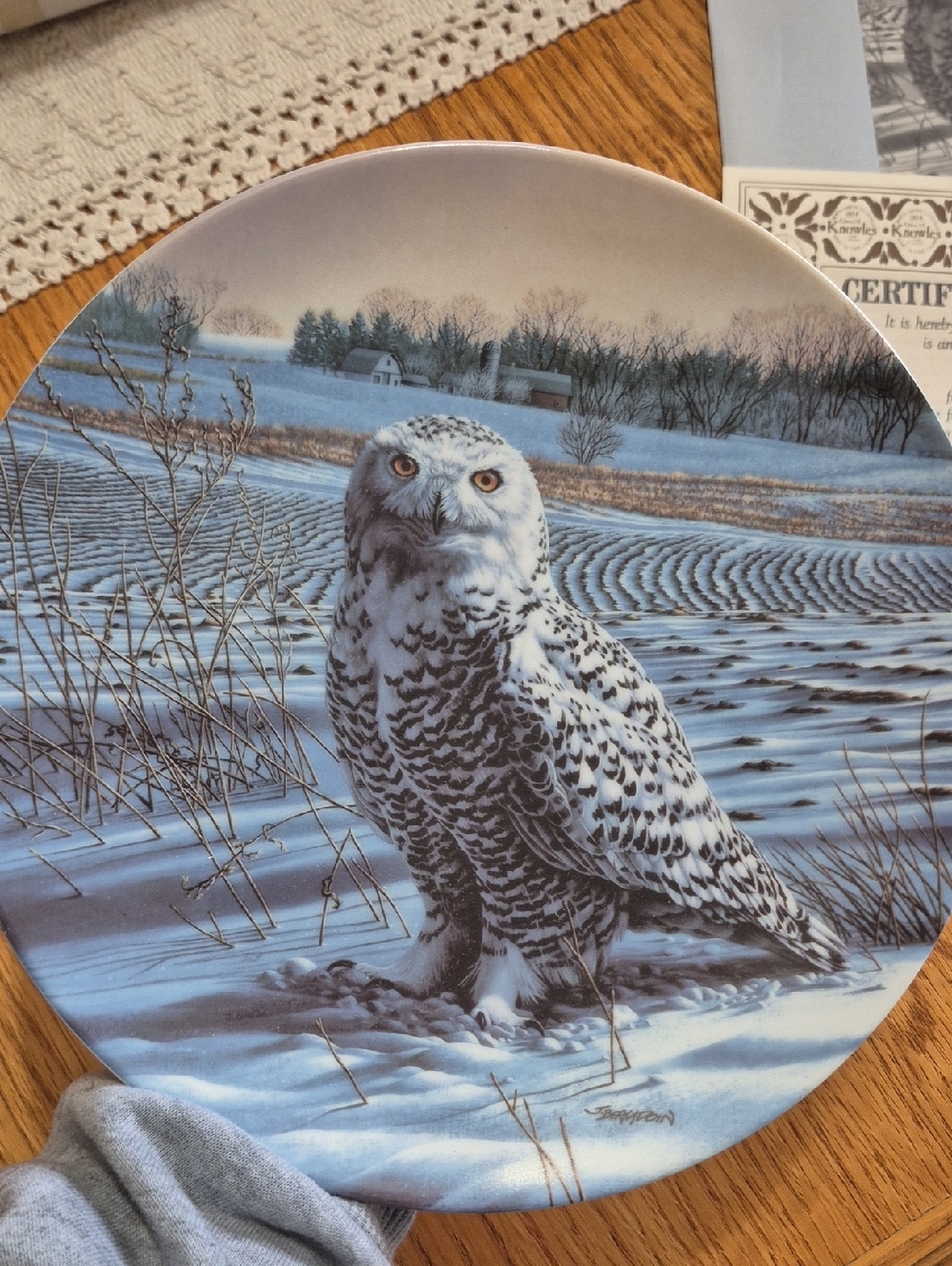 Knowles China The Snowy Owl Collector Plate By Jim Beaudoin Plate #2290G 1989